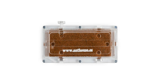 10x20x7cm modularer Pilz-Futtersuchkasten