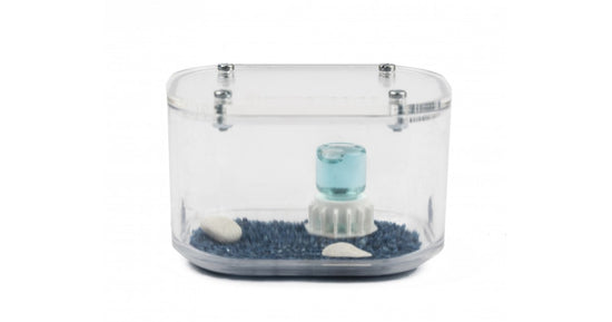 Antcubik-Mini-Futterschachtel