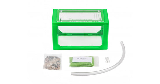 Anthouse 3D Box 20x10x10 cms