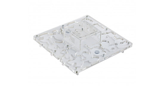 AntHouse-Horizontal-Acryl 30x30x1,5 (Pilztyp, mit Futterzone)