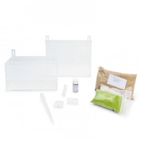 Kit AntHouse Wand Mini Acryl
