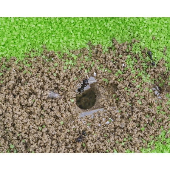 Kits Anthouse-T Acryl (15x15x1,5)