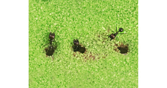 Kits T 3D - Groß (25x20x1,5)