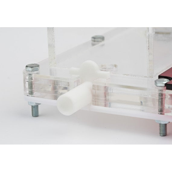 PVA Educational Kit 10x20x1.3 cm (Freie Ameisen mit Königin)