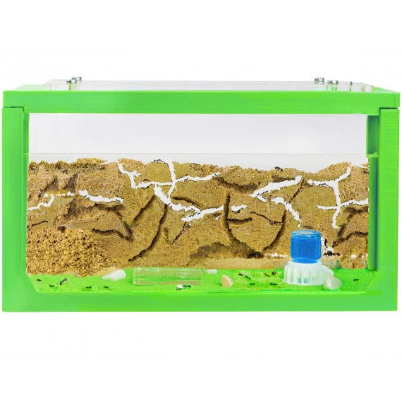 Pädagogisch für Kinder