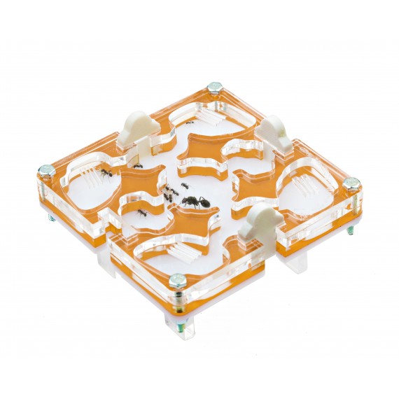 10x10x1,5 cm Modular ohne Feuchtigkeitssystem