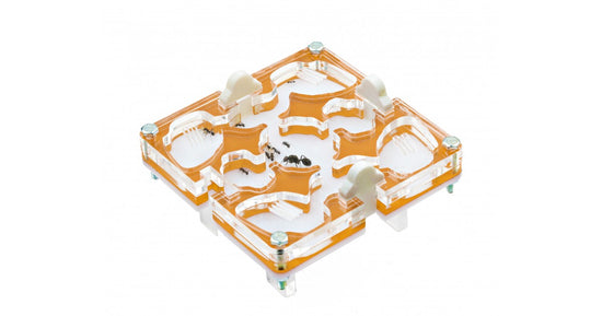 10x10x1,5 cm Modular ohne Feuchtigkeitssystem