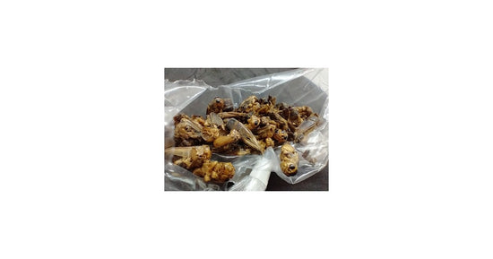 25 gr dehydrierte Grillen