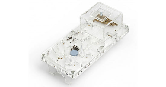 Acryl NaturColor 20x10x1cms Pilz