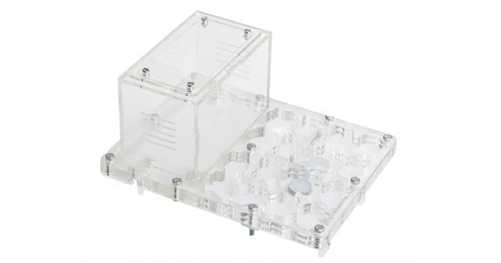 Acryl NaturColor 20x15x1,5cms Pilz