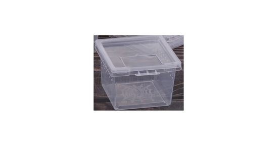 Ameisenbeobachtungs- und Transportbox