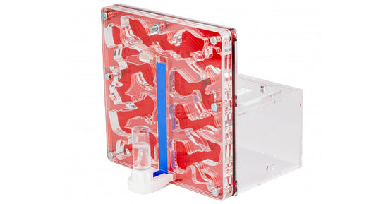 AntCubex 15x15x1,5cm Schwamm mit Einlage