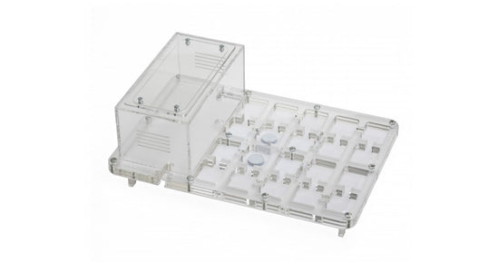 AntHouse-Horizontal-Acryl 30x20x1,5 (Pilztyp, mit Futerzone)