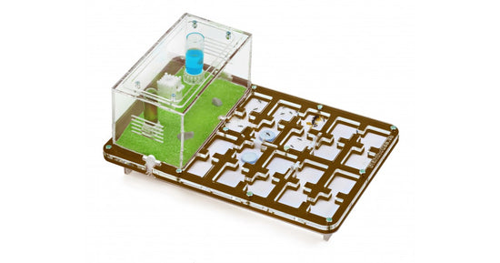 AntHouse-Horizontal-Acryl 30x20x1,5 (Pilztyp, mit Futerzone)