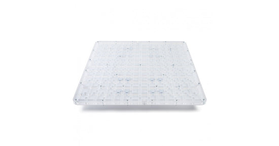 AntHouse-Horizontal-Acryl 50x50x1,5 cm (Pilztyp)