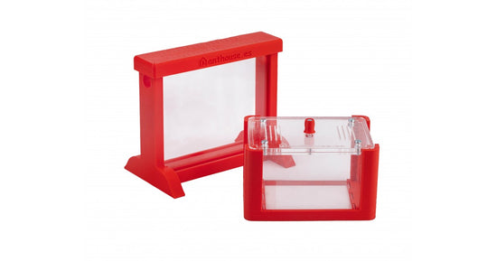 Kit AntHouse 3D Basic - Sand Ameisennest mit Königin und Gratis-Ameisen