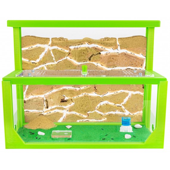 Kit AntHouse 3D - L - Sand-Ameisennest mit Königin und Gratis-Ameisen