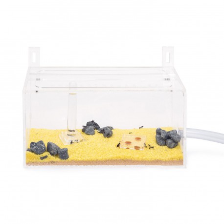 Kit AntHouse Wand Mini Acryl