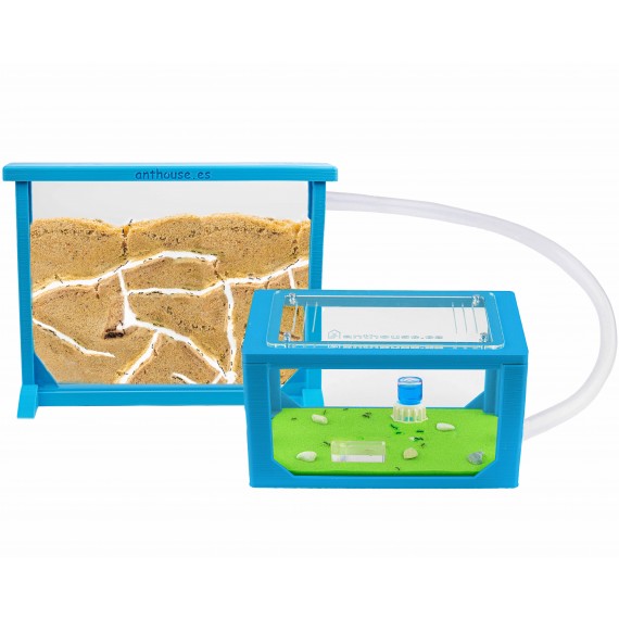 Kits AntHouse Sandwich Medio 3D