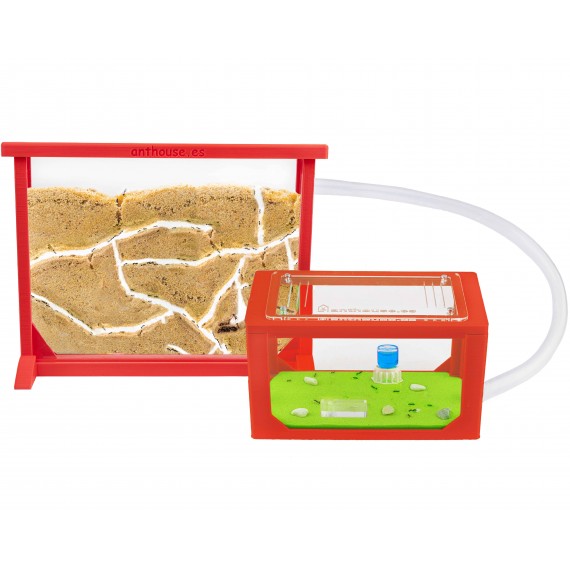 Kits AntHouse Sandwich Medio 3D