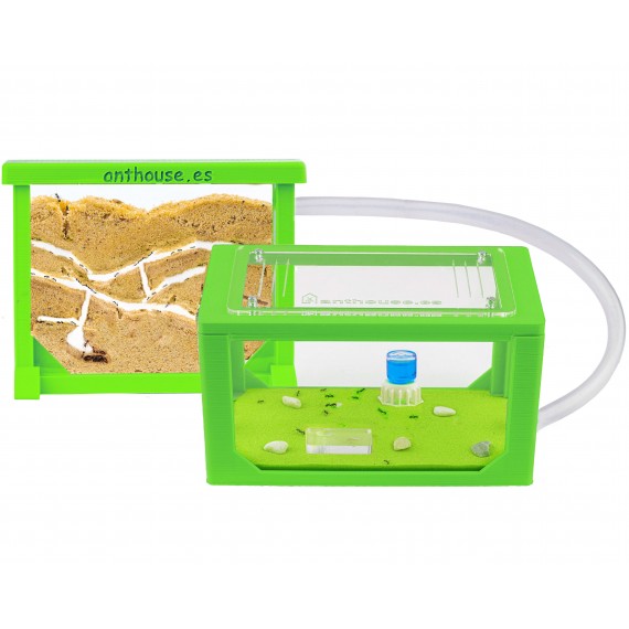 Kits AntHouse Sandwich Mini 3D