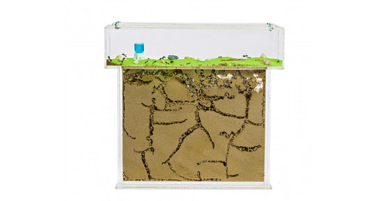 Kits Anthouse-T Acryl- Groß (25x20x1,5)