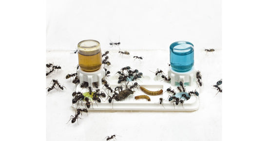 Mega Tränke und Futternapf