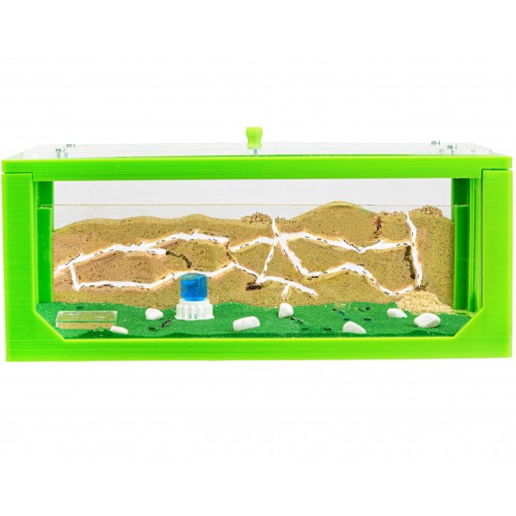 Natürliche Ameisenfarm aus Sand - Big 3D Starter Set 30x15x10 cm (Ameisen)