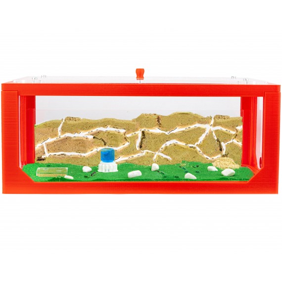 Natürliche Ameisenfarm aus Sand - Big 3D Starter Set 30x15x10 cm (Ameisen)