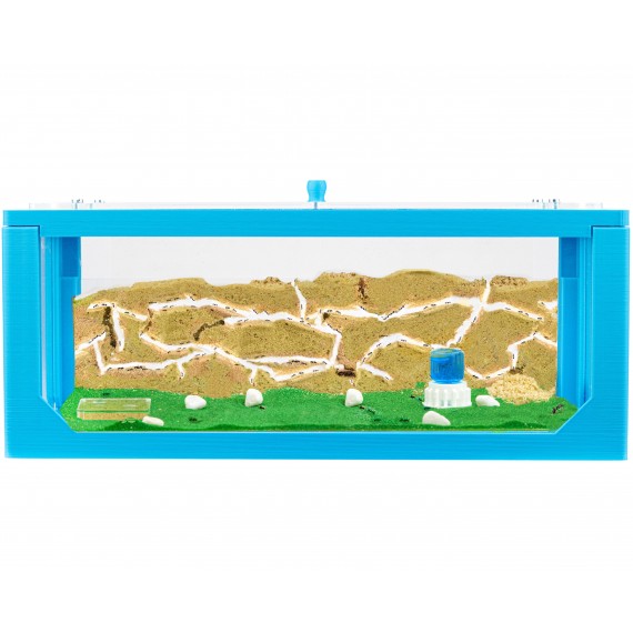 Natürliche Ameisenfarm aus Sand - Big 3D Starter Set 30x15x10 cm (Ameisen)