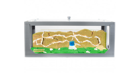 Natürliche Ameisenfarm aus Sand - Big 3D Starter Set 30x15x10 cm (Ameisen)